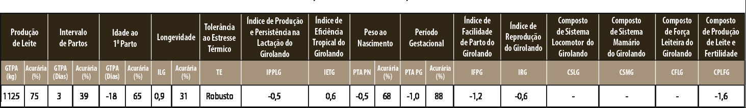 Avaliação APOLO ALPHABET PINHALENSE