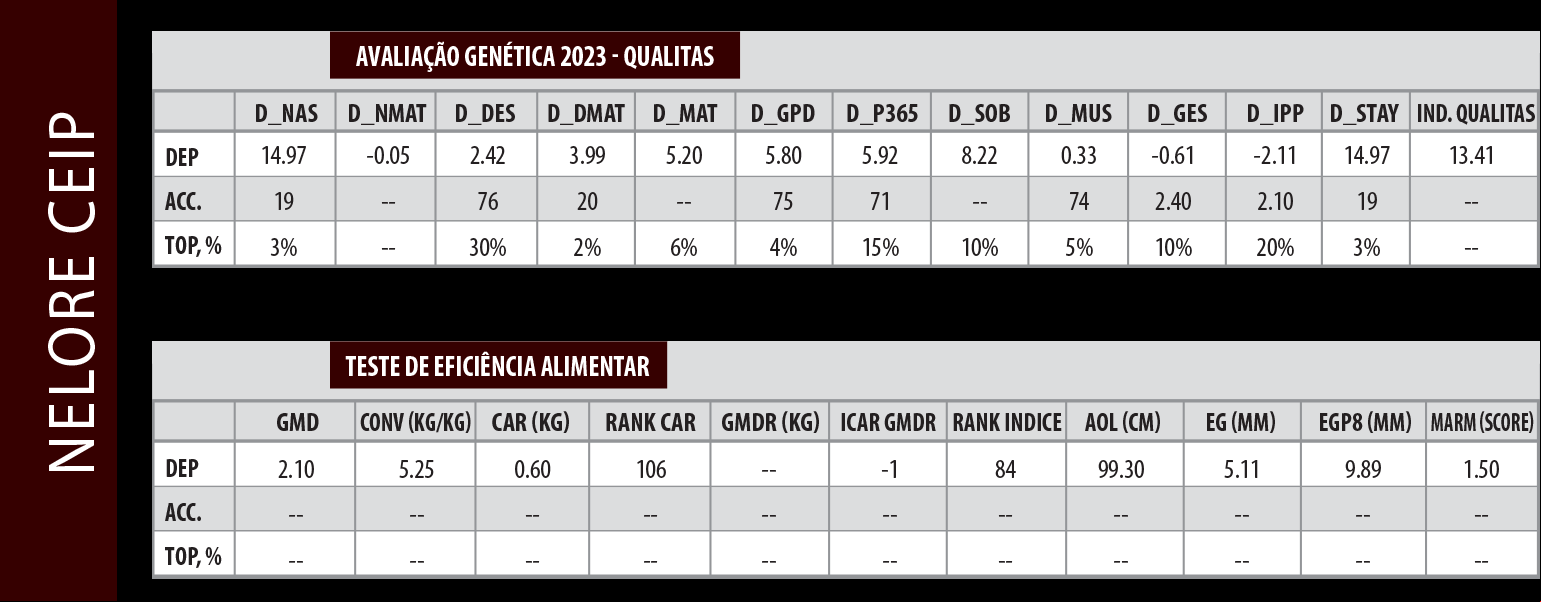 Avaliação QLT TORQUE DA AGROPONTIERI