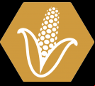 FEEDPRO