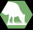 GRAZINGPRO